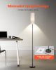 VEVOR Floor Lamp Stepless Dimmable Colors Living Room Lamp with Remote Control
