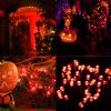 GlowLine Ã¢â‚¬â€œ 300 LED Halloween String Lights (98.5 FT, Orange)
