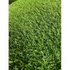 Artificial Grass Turf -3.3FTx32.3FT 0.8"Indoor/Outdoor Synthetic Fake Grass,Astroturf for Garden yard