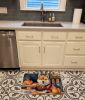 Shiba Inu Fall Kitchen Pumpkins Memory Foam Kitchen Mat Machine Washable Anti-Fatigue Mat Cushion Comfort Bath Mat or Kitchen Rug
