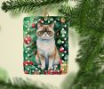 Exotic Shorthair Cat By the Christmas Tree Porcelain Ornament Christmas Tree Hanging Decorations for Home Christmas Holiday, Rectangle, Gift