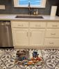 French Bulldog Fall Kitchen Pumpkins Memory Foam Kitchen Mat Machine Washable Anti-Fatigue Mat Cushion Comfort Bath Mat or Kitchen Rug
