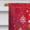 Briard Holiday Christmas House Flag Large Porch Sleeve Pole Decorative Outside Yard Banner Artwork Wall Hanging, Polyester, House Size, Multicolor
