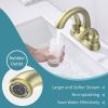 Bathroom Faucet 2-Handle Brushed Gold with Aerator, Swan Style 4-inch Centerset Vanity Sink with Pop-Up Drain and Supply Hoses, FR4075-BG