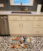 Rhodesian Ridgeback The Chef Memory Foam Kitchen Mat Machine Washable Anti-Fatigue Mat Cushion Comfort Bath Mat or Kitchen Rug