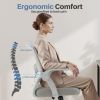 Desk Chair with Ergonomic Lumbar Support, Flip-Up Armrests & Removable Footrest - 250lbs Capacity, Suitable for Home, Office, Bedroom, Gray