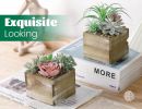 2 Pack Fake Plants Succulents Plants Artificial Cactus Plants in Wood Pots with Pink Flowers for Farmhouse Bathroom Decor