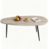Gray Stylish Irregular Shape Coffee Table, Heavy-Duty Metal Base Oval Sofa Side Table, Multifunctional Decor Center Table for Home Living Room