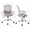 Desk Chair with Ergonomic Lumbar Support for Home, Office, Bedroom, 250lbs, Grey
