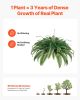Artificial Boston Ferns Large Plastic Fern 80 Branches Indoor Outdoor Decor