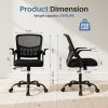 Desk Chair with Ergonomic Lumbar Support, Flip-Up Armrests & Removable Footrest - 250lbs Capacity, Suitable for Home, Office, Bedroom, Black