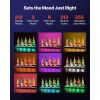 LED Lighted Liquor Bottle Display, 2 Tiers 30 inches, Supports USB, Acrylic Illuminated Home Bar Shelf Display with RF Remote & App Control