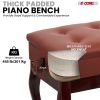 5 Core Piano Bench 3" Padded Cushioned Stool Wooden Heavy Duty Adjustable Musician Chair w Storage - PNB WD HD CHRY