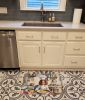 Welsh Springer Spaniel The Chef Memory Foam Kitchen Mat Machine Washable Anti-Fatigue Mat Cushion Comfort Bath Mat or Kitchen Rug