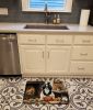 Japanese Chin Fall Kitchen Pumpkins Memory Foam Kitchen Mat Machine Washable Anti-Fatigue Mat Cushion Comfort Bath Mat or Kitchen Rug