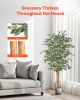 5FT Artificial Ficus Tree Tall Faux Plant with Black Pot for Indoor Decor