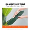 Artificial Birds Of Paradise Tree, 5 FT Tall Faux Plant, PE Material & Anti-Tip Tilt Protection Low-Maintenance Plant