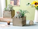 2 Pack Fake Plants Succulents Plants Artificial Cactus Plants in Wood Pots with Pink Flowers for Farmhouse Bathroom Decor