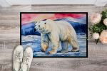 Polar Bear Doormat Front Door Mat Indoor Outdoor Rugs for Entryway, Non Slip Washable Low Pile, 24H X 36W