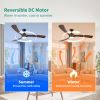 72 Inch Ceiling Fans with Lights and Remote, Large Outdoor Ceiling Fan with Light Dimmable for Patios Living Room Bedroom Gazebo High CFM 3 Blade Prop