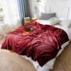 SOGA 2X Burgundy Throw Blanket &  Bed Sofa Comforter