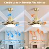 66 Inch Low Profile Ceiling Fan with Dimmable Lights and Smart Remote Control 6 Speed Reversible Noiseless DC Motor for Indoor
