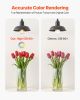 6 Pack Edison Bulbs LED A19 4.5W Dimmable 450 Lumens 2700K E26 Antique