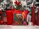Briard Christmas Throw Pillow Machine Washable, Indoor Outdoor Decorative Pillow for Couch, Bed or Patio, 14Hx14W