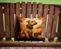 Lakeland Terrier Fall Throw Pillow Machine Washable, Indoor Outdoor Decorative Pillow for Couch, Bed or Patio, 14Hx14W