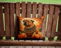 Shar Pei Fall Throw Pillow Machine Washable, Indoor Outdoor Decorative Pillow for Couch, Bed or Patio, 14Hx14W