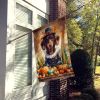 Chocolate Dachshund Thanksgiving House Flag Large Porch Sleeve Pole Decorative Outside Yard Banner Artwork Wall Hanging, Polyester, House Size