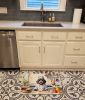 Bernedoodle The Chef Memory Foam Kitchen Mat Machine Washable Anti-Fatigue Mat Cushion Comfort Bath Mat or Kitchen Rug