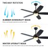 52 Inch Black Ceiling Fan with Lights