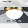 52 Inch Black Ceiling Fan with Lights