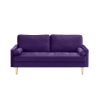 Velvet Sofa 65 inch