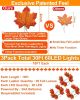 Timer&3 Pack-30Ft Fall Garland Halloween Fall Decorations for Home, 60LED Thanksgiving Lights Patented Realistic Maples Leaf Garland Battery