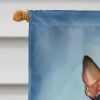 Rat Terrier Happy Birthday House Flag Large Porch Sleeve Pole Decorative Outside Yard Banner Artwork Wall Hanging, Polyester, House Size, Multicolor