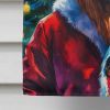 Lion Christmas House Flag Large Porch Sleeve Pole Decorative Outside Yard Banner Artwork Wall Hanging, Polyester, House Size, Multicolor
