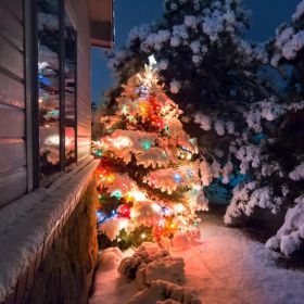 330FT Christmas String Lights 1000 LED, 8 Modes & 8 Brightness Levels with Remote & Timer, IP44 Waterproof Extra-Long Lights for Tree Patio Yard Decor (Option: Color)