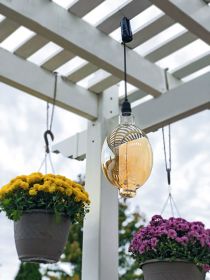 RetroEssenceÃ¢â€žÂ¢ Battery Operated LED Vintage Light | by Pacific Accents (Shape: Oval)