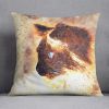 Fire Cat Painting Cushion