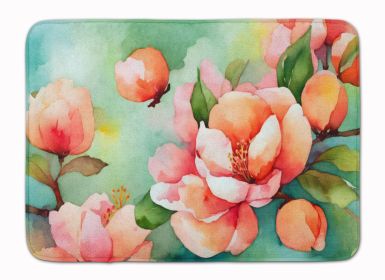 Delaware Peach Blossom in Watercolor Memory Foam Kitchen Mat Machine Washable Anti-Fatigue Mat Cushion Comfort Bath Mat or Kitchen Rug (Default: Default)