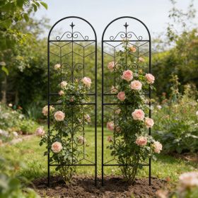 2 Pack Metal Garden Trellis 71" x 19.7" Rustproof Trellis for Climbing Plants Outdoor Flower Support Black (Color: Black)