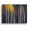Curtain Of Fall Canvas Print or Poster