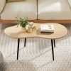 Cloud Shape Coffee Table 39.5 inch Irregular Center Table with Metal Frame