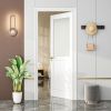 Frosted Glass Slab Door Solid Manufactured Wood -shower door White Primed Standard Door Without Hardware Kit
