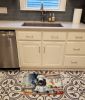 Pomeranian The Chef Memory Foam Kitchen Mat Machine Washable Anti-Fatigue Mat Cushion Comfort Bath Mat or Kitchen Rug
