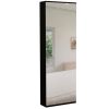Baltimore Wall Mounted Shoe Rack, Mirror, Single Door, Ten Shoes Capacity