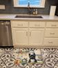 Cairn Terrier The Chef Memory Foam Kitchen Mat Machine Washable Anti-Fatigue Mat Cushion Comfort Bath Mat or Kitchen Rug