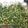 4 Pack Metal Garden Trellis 86.7" x 19.7" Rustproof Trellis for Climbing Plants Outdoor Flower Support